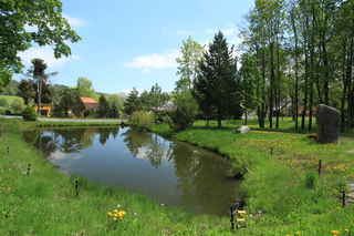 Rybník na rozhraní odbcí Kundratice a Štěpanice