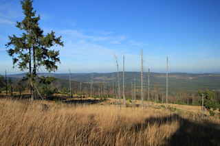 Pohled z hory Dřevěná hůl na hřeben hory Vysoký hřbet (1078 m n.m.)