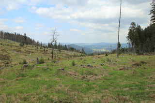 Pohled do údolí na Srní, vlevo od obce vrch Spálený