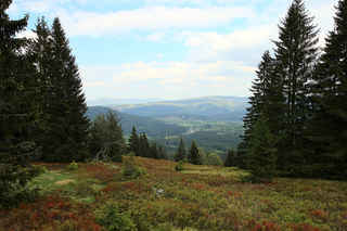 Pohled ze Zelenohorské vyhlídky na Srní, vlevo vpředu vrch Spálený, vzadu Huťská hora