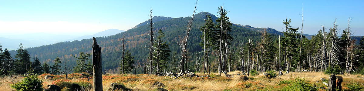 Šumava: Pohled z Malého Kokrháče na dvojvrchol hory Ostrý - 10/2017