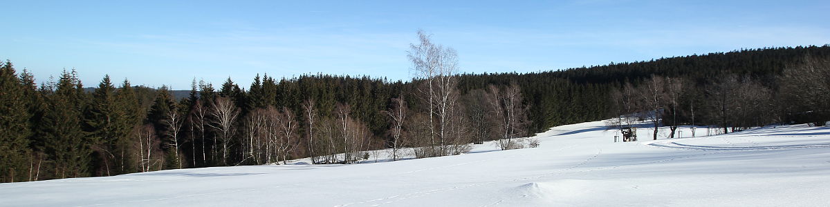 Šumava: Prenet - 02/2019