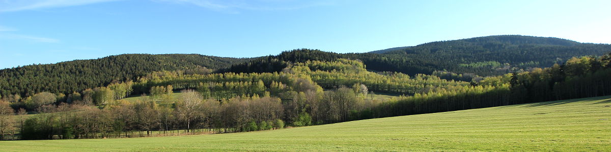 Šumava: Louky a pastviny nad býv. Rödrovským Dvorcem u obce Hamry - 04/2019 Šumava: Louky a pastviny nad býv. Rödrovským Dvorcem u obce Hamry - 04/2019