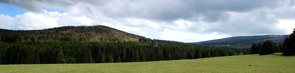 Šumava: Pohled od býv. Staré Hůrky na kopec Dřevěná Hůl (1206 m n.m.) a Debrník/Plesná (1336 m n.m), vzadu vpravo - 05/2019 Šumava: Pohled od býv. Staré Hůrky na kopec Dřevěná Hůl (1206 m n.m.) a Debrník/Plesná (1336 m n.m), vzadu vpravo - 05/2019