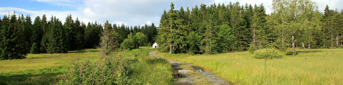 Šumava: Býv. Suché Studánky - 07/2019