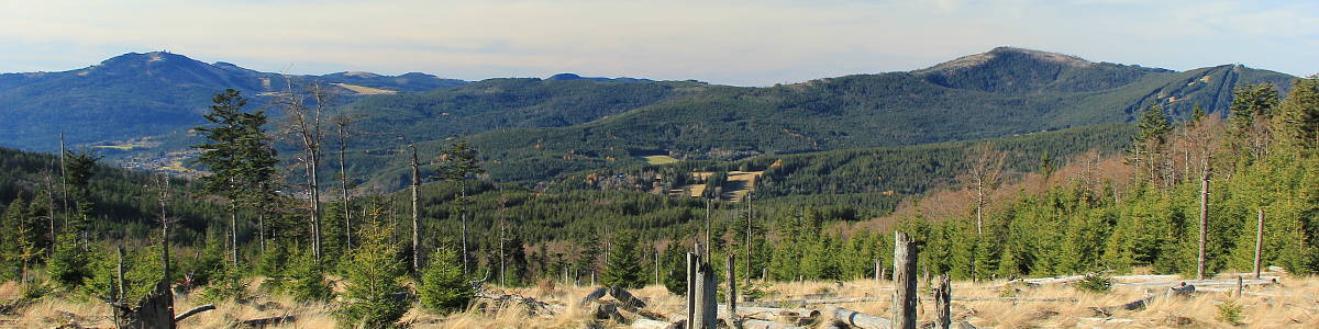Šumava: Pohled z mýtiny pod Sklářským vrchem. Vlevo v údolí Ž.Ruda, nad ní německý Velký Javor (1456 m n.m.), vpravo Jezerní hora (1343 m n.m.) a Špičák (1202 m n.m.) - 11/2019