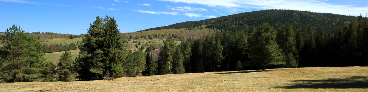 Šumava: Hora Křemelná (1125 m n.m.), pod ní stávala obec Stodůlky - 04/2020