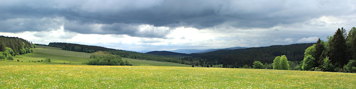Šumava: Pohled do míst kde stávala osada Starý Brunst - 05/2020