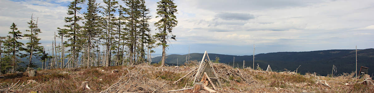 Šumava: Vrchol hory Malý Špičák (1191 m n.m.) - 09/2020 Šumava: Vrchol hory Malý Špičák (1191 m n.m.) - 09/2020
